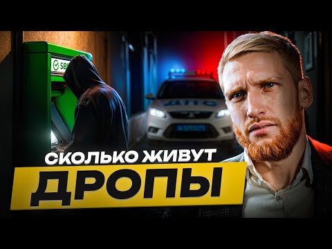 Видео: ⚠️ Сколько Живут Дропы в 2025?! Вся правда о «лёгких» деньгах