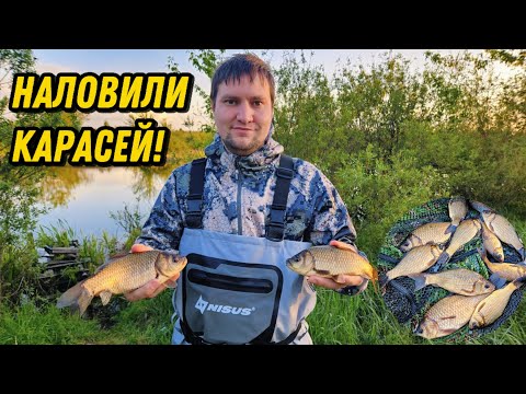Видео: Ловля карася на маленьком прудике! Дали жару.