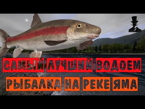 Видео: Самый лучший водоем. Рыбалка на реке Яма. Русская Рыбалка 4.