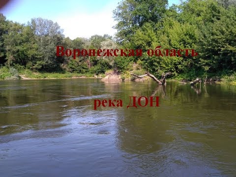 Видео: Дон Воронеж ч1 Медведки