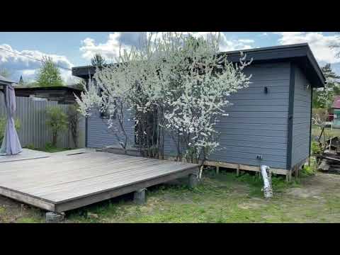 Видео: Дача. Весна 2022. Садовая дорожка. Растения после зимы.