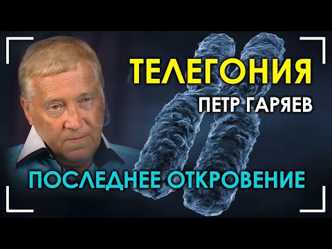 Видео: Последнее откровение. Телегония. Пётр Гаряев