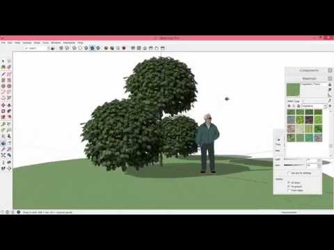 Видео: Как сделать растение в SketchUp из фотографии