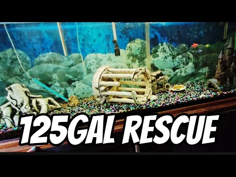 Видео: 125 галлонов спасения