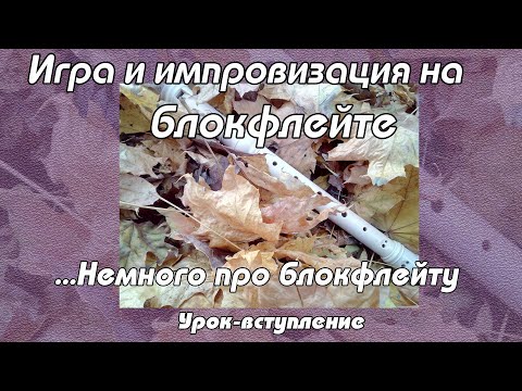 Видео: Уроки флейты  - Вступление. Немного про блокфлейту.