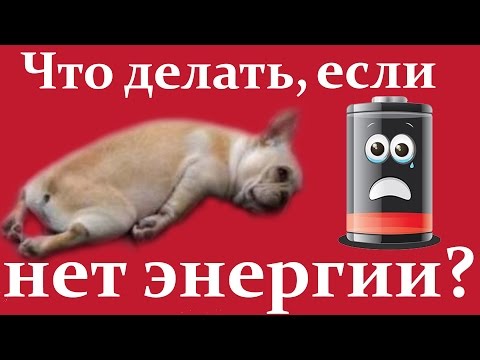 Видео: Что делать, если хронически не хватает энергии?