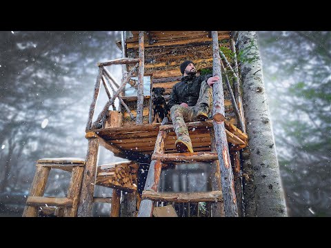 Видео: ТЕПЛЫЙ ДОМ НА ДЕРЕВЕ в ЗИМНЕМ ЛЕСУ - ЛЕСНОЕ УКРЫТИЕ для НОЧЛЕГА | СТРОЮ и УЛУЧШАЮ