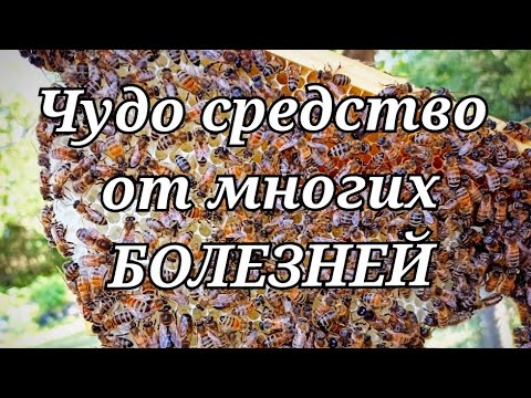 Видео: ОГНЁВКА - НАСТОЙКА Номер 1. Восковая Моль. ПЖВМ НА ВОДКЕ.
