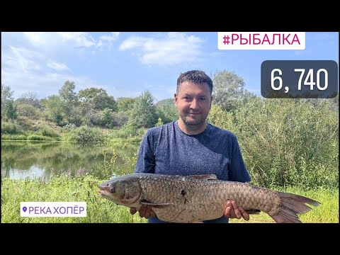 Видео: Выехали на рыбалку за сазаном, а что из этого получилось...