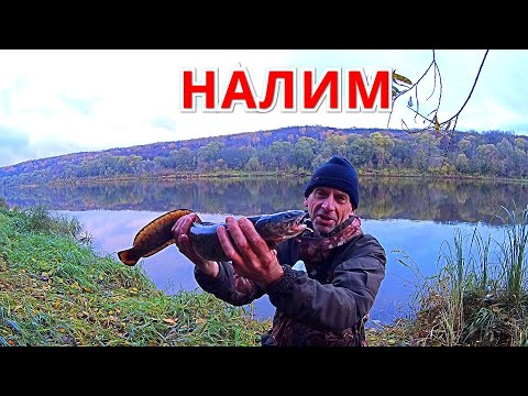 Видео: ДОНКИ-ПОСТАВУХИ НА НАЛИМА. Рыбалка на ОКЕ в октябре.