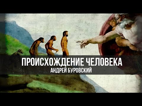 Видео: Происхождение человека | Андрей Буровский
