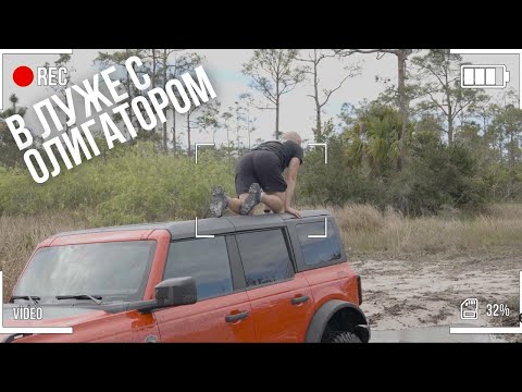 Видео: Ford Bronco WildTrak изменит твои приключения