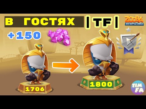 Видео: Зуба Беру 1800 на Стиве Режим Дуэт В гостях |TF| Zooba Steve Duo
