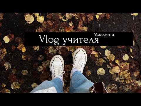 Видео: Vlog учителя биологии| мысли| лабораторная| медузы, быки, кАровы 🐄