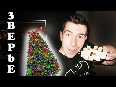 Видео: Вложки - Встречаем Новый 2014 Год (ВлогоДекабрь)
