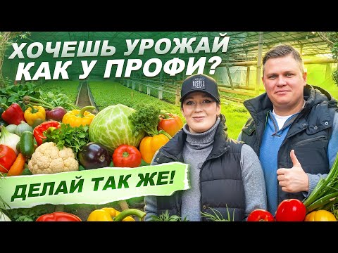 Видео: 🌱 ПОСАДКА РАССАДЫ В ТЕПЛИЦУ: СЕКРЕТЫ БОГАТОГО УРОЖАЯ ОТ СЕМКО