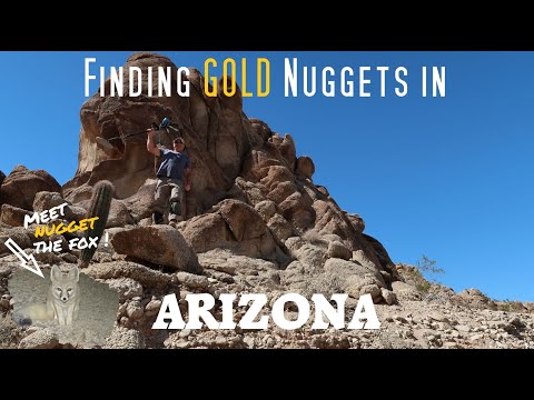 Видео: Поиск золотых самородков с помощью металлоискателей в юго-западной пустыне Аризоны