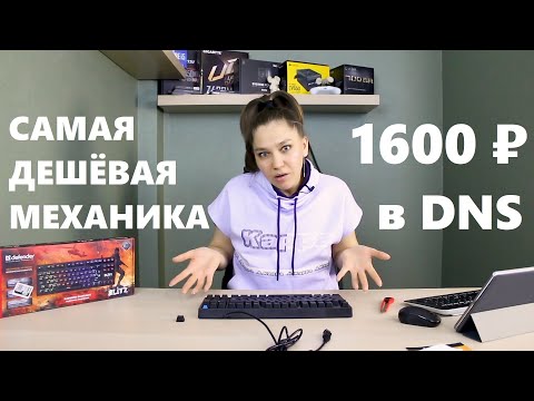 Видео: Лучшая самая дешёвая механическая клавиатура Defender Blitz GK-240L