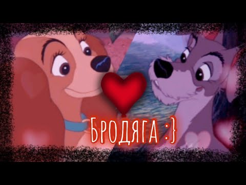 Видео: Леди и Бродяга: Клип "Бродяга" заказ