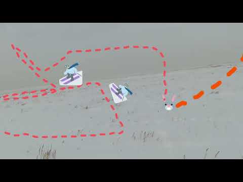 Видео: Охота на зайца "профессора"