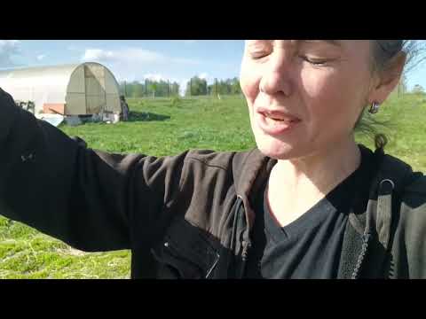 Видео: Так жалко меня,рыдаю от деревенской жизни.Зачем сарай далеко.Шашлыки,халуми на мангале