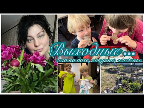 Видео: Семейный влог: Выходные… 🌺Дела на даче🪴. Покупки. И печенье🍪