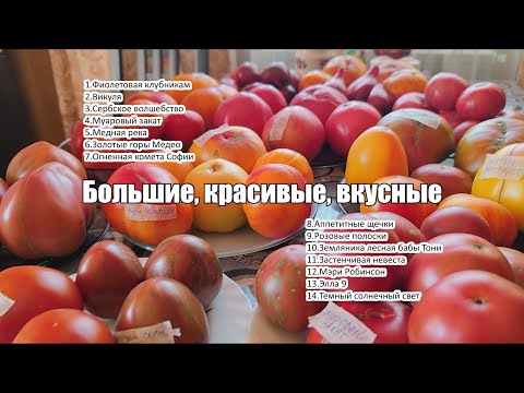 Видео: Большие, красивые, вкусные: дегустация индетерминантных сортов томатов. (Часть 4)