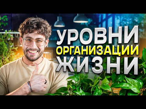 Видео: Уровни организации жизни для ЕГЭ по БИОЛОГИИ