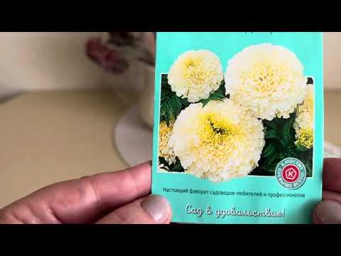 Видео: Цветы 2026🌺🌺🌺,выбор сделать очень сложно 😉