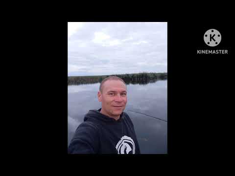 Видео: ТНМК Мушу йти