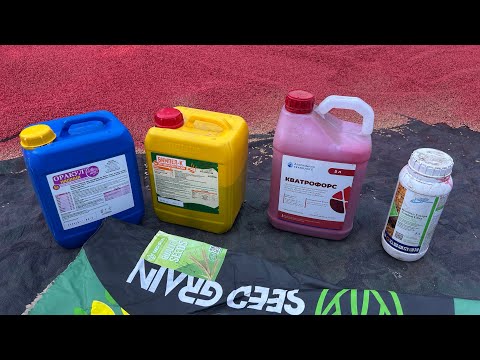 Видео: Протруювання пшениці перед посівом 2025