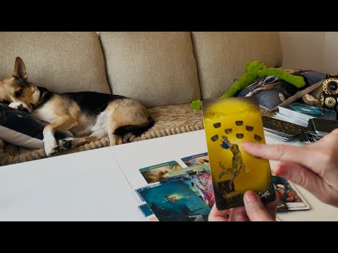 Видео: Каждая слезинка была учтена — теперь смотрите, как Бог вознаградит вас десятикратно.💰💲💰