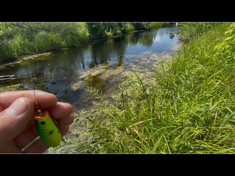 Видео: НЕОБЫЧНОЕ МЕСТО- ПОЛЬДЕРНЫЙ КАНАЛ!