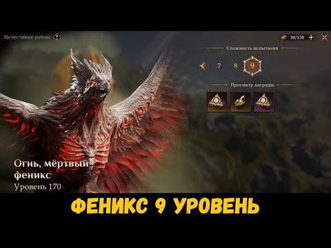 Видео: Нечестивые руины (Феникс) 9 уровня на старте 3 сезона! Гайд. Dragonheir: Silent Gods