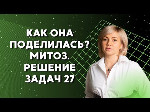 Видео: Как она поделилась? Митоз. Решение задач 27