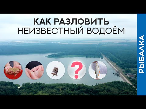 Видео: Как ПОЙМАТЬ рыбу НА НЕЗНАКОМОМ водоёме?