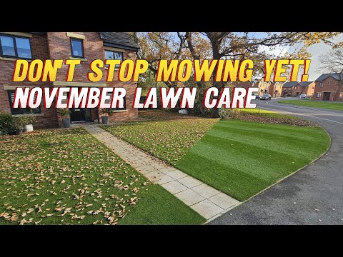 Видео: Уход за газоном в ноябре // Это ПОСЛЕДНЯЯ СТРИЖКА В ЭТОМ ГОДУ?!?