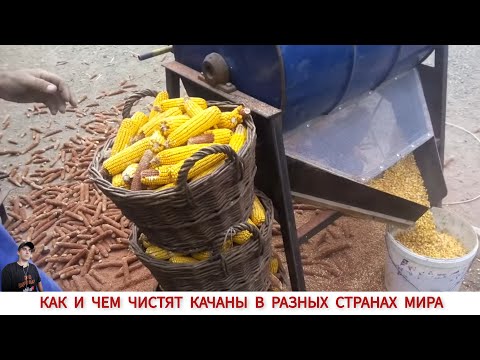 Видео: УНИКАЛЬНЫЕ ПРИСПОСОБЛЕНИЕ ДЛЯ ЧИСТКИ КУКУРУЗЫ З РАЗНЫХ СТРАН МИРА #1 / HOW AND WHAT IS CORN CLEANED