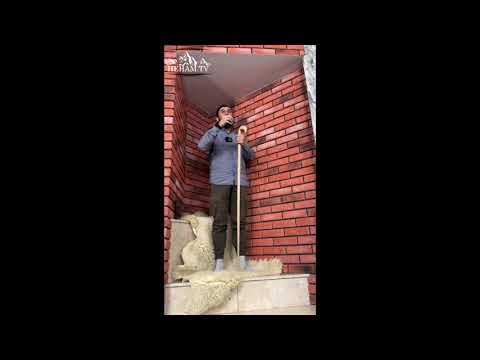 Видео: Къудс маьждиг / Iадлан