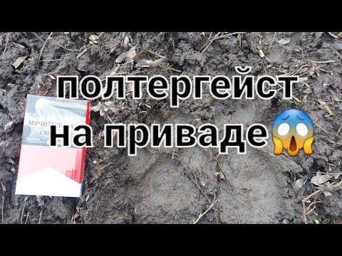 Видео: привада исчезла😳файлов с камеры нет