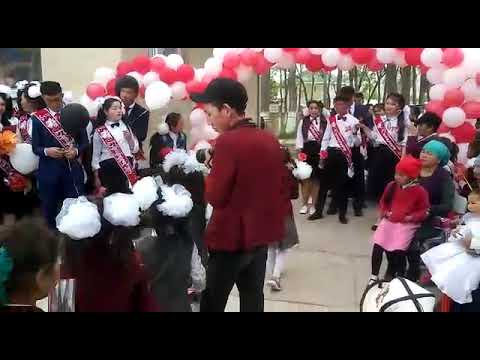 Видео: Кош дөбөнүн кулундары