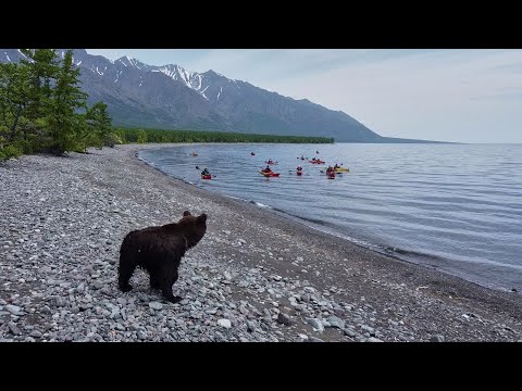 Видео: Северный Байкал на каяках 2025