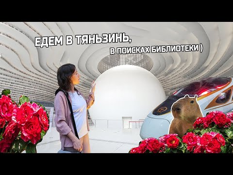 Видео: Как мы добирались в Тяньзинь, искали Библиотеку "Глаз" (Binhai Library).Храм Неба. Water Cube.