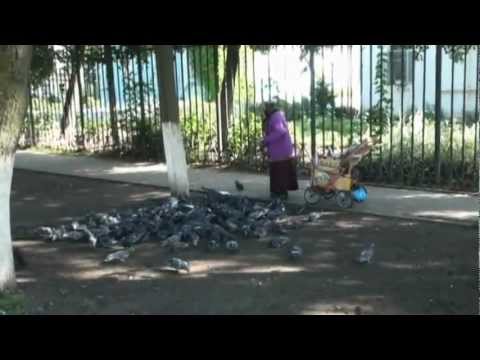 Видео: Жанна Бичевская -  Дивеево