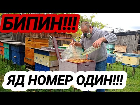 Видео: Обработка пасеки БИПИН!!! Самое ядовитое вещество для пчёл! Как обрабатывать бипином пасеку?