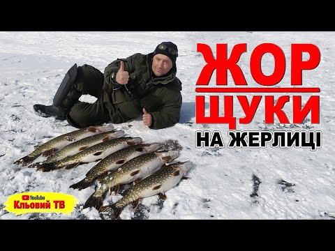 Видео: Жор щуки на жерлиці