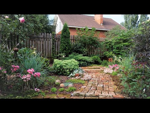Видео: Садовая прогулка-болталка 23.07.23. Обзор сада