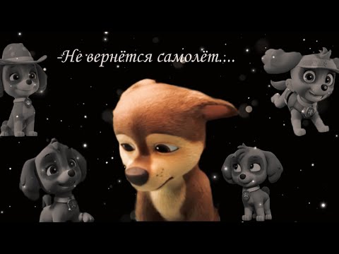 Видео: 😭✈️Гонщик и Скай✈️😭(Не вернётся самолёт)~Для канала♥SKYE_CANDY♥~😭✈️Chase x Skye✈️😭