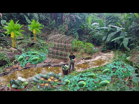 Видео: Надеюсь, вы расслабитесь, просматривая это видео. Спасибо всем за поддержку.