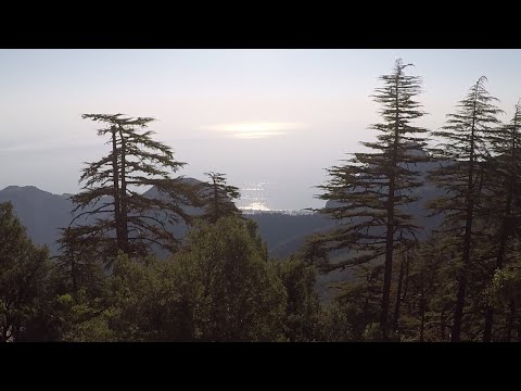 Видео: Ликийская тропа. 1-2 день похода. Август 2020г.